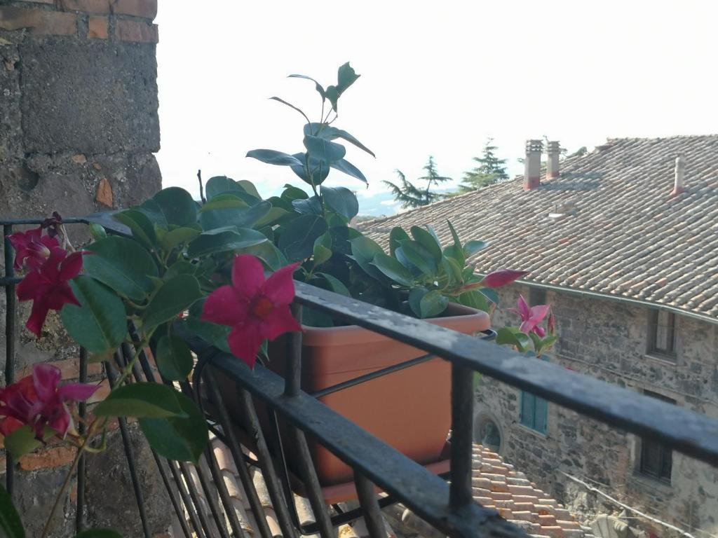 Zdjęcie z galerii obiektu La Gioiosa w mieście Radicofani