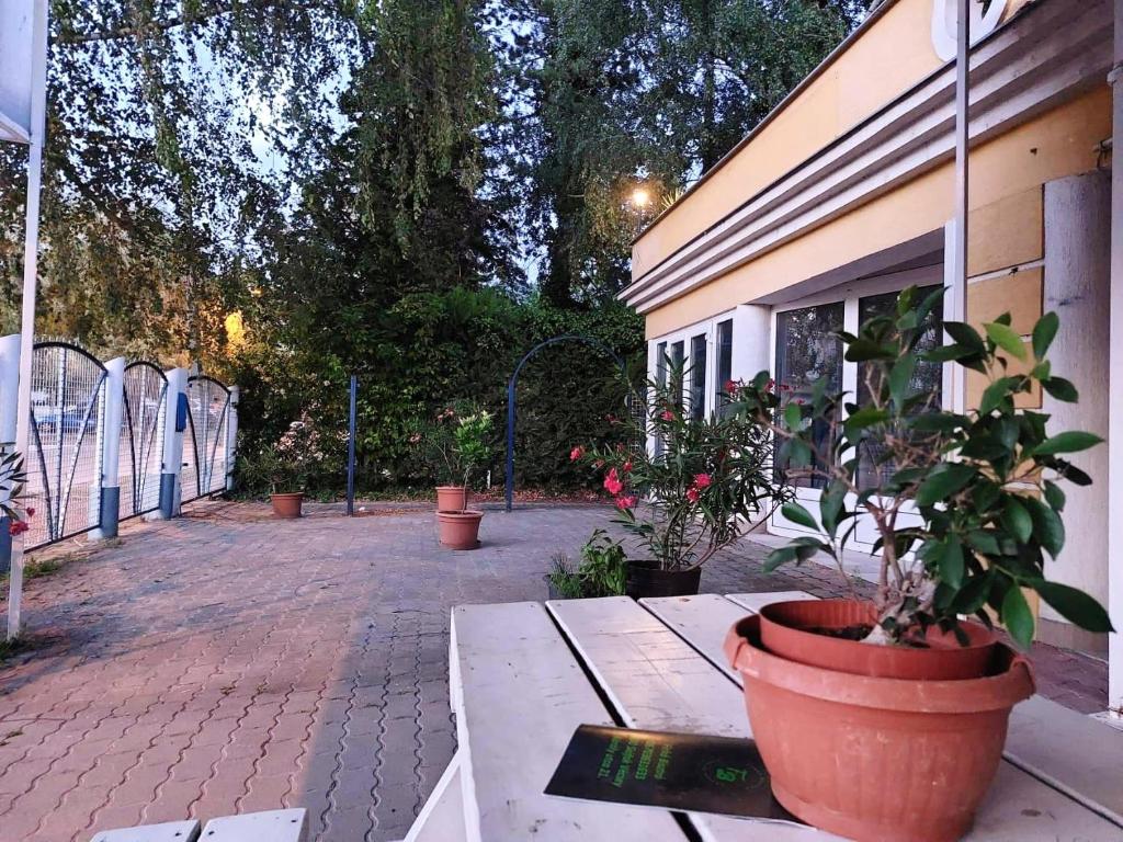 Zahrada ubytování Széplak apartman