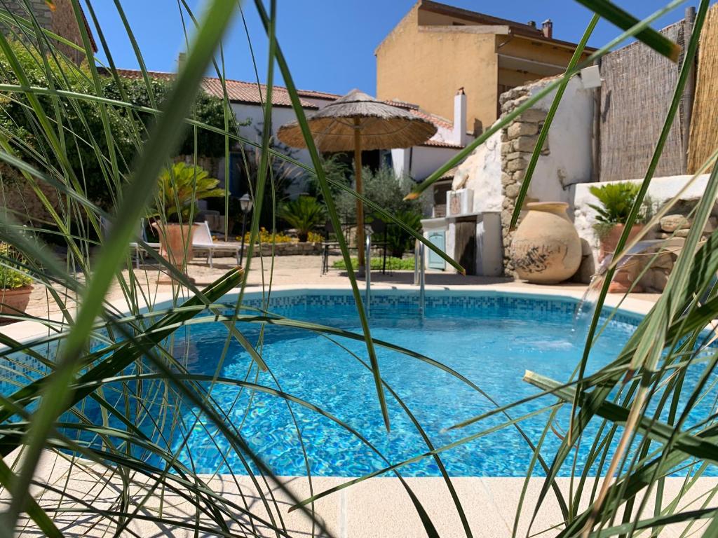 una piscina en un patio con algunas plantas en Sa domu de don Ninnu bed breakfast Spa, en Gesturi