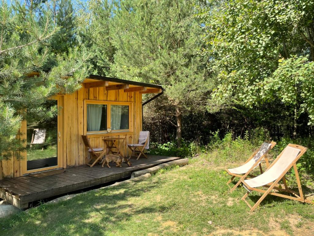Aed väljaspool majutusasutust Boutique Glamping Divja DiVine