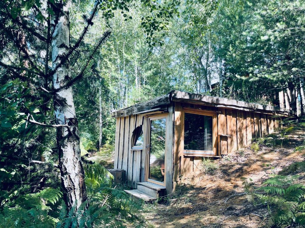 Aed väljaspool majutusasutust Boutique Glamping Divja DiVine