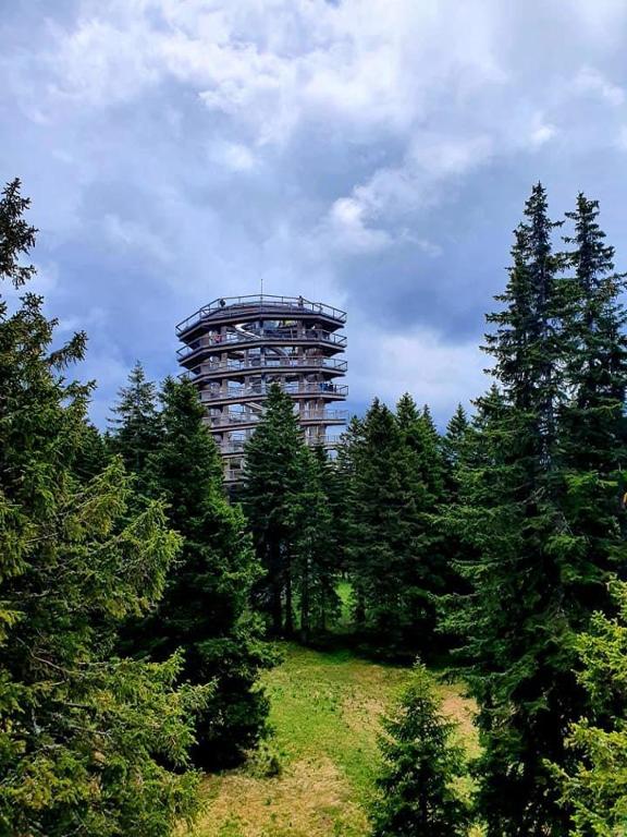 Fotografie z fotogalerie ubytování Chalet Anita Rogla v destinaci Zreče