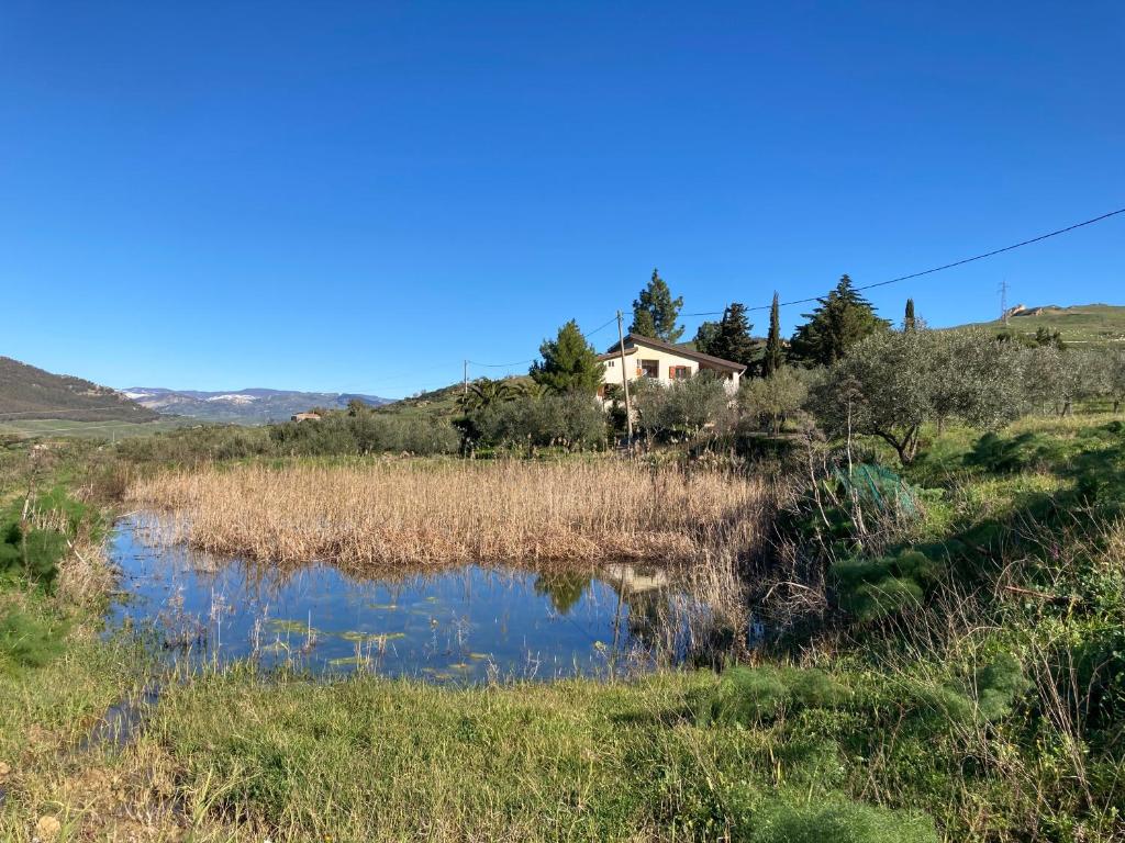 a house in the middle of a field with a pond at La Casa Delle Olive in Gagliano Castelferrato