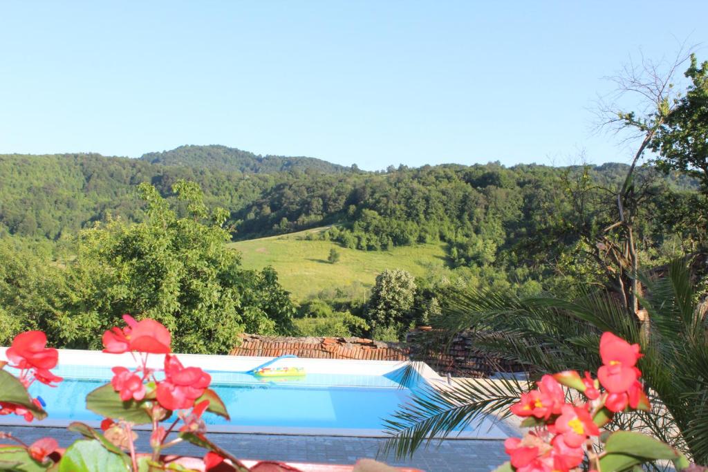 a view of a swimming pool with trees and flowers at Бадевски рай-къща Любов in Badewzi