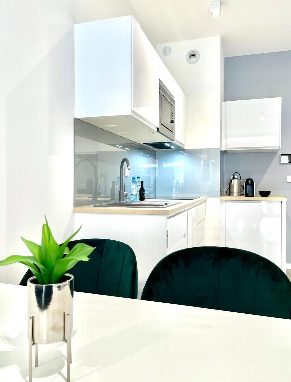 Kuchyňa alebo kuchynka v ubytovaní Modern Green Apartment