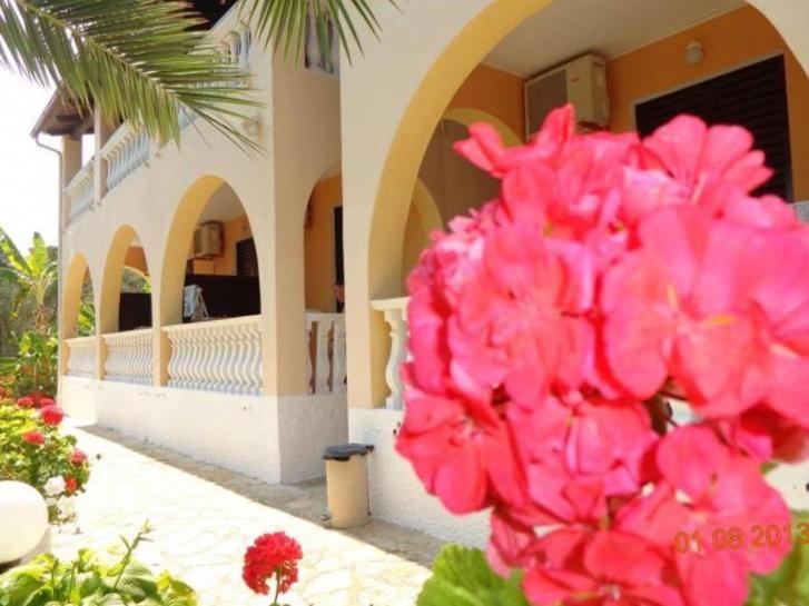 Boomerang Studio's, Tsilivi (updated prices 2024)