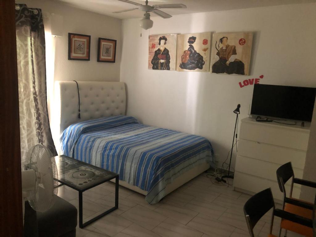 a small bedroom with a bed and a television at Asia in Alcalá de Henares