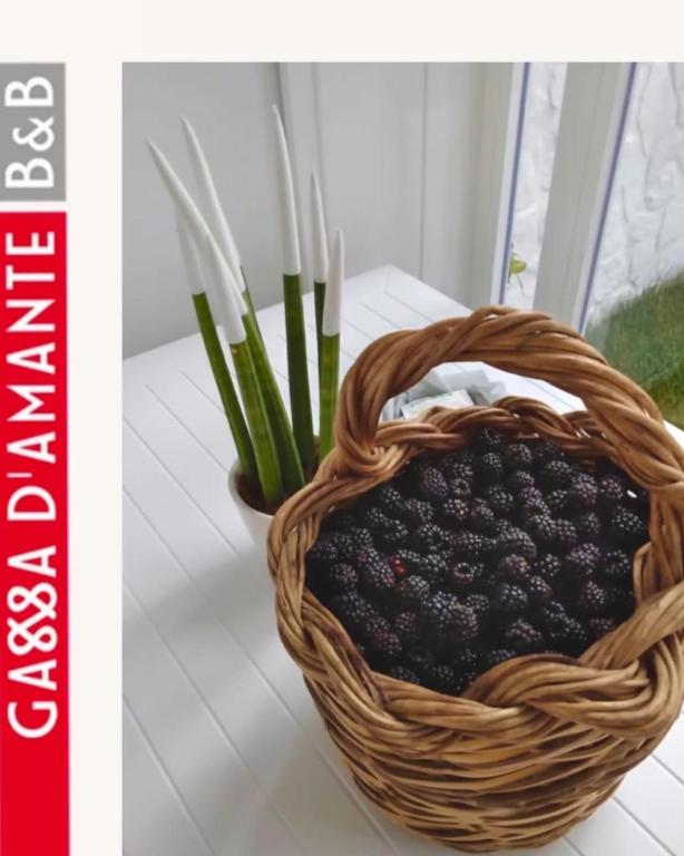 Fotografie z fotogalerie ubytování B&B Gassa D'amante ve Vieste
