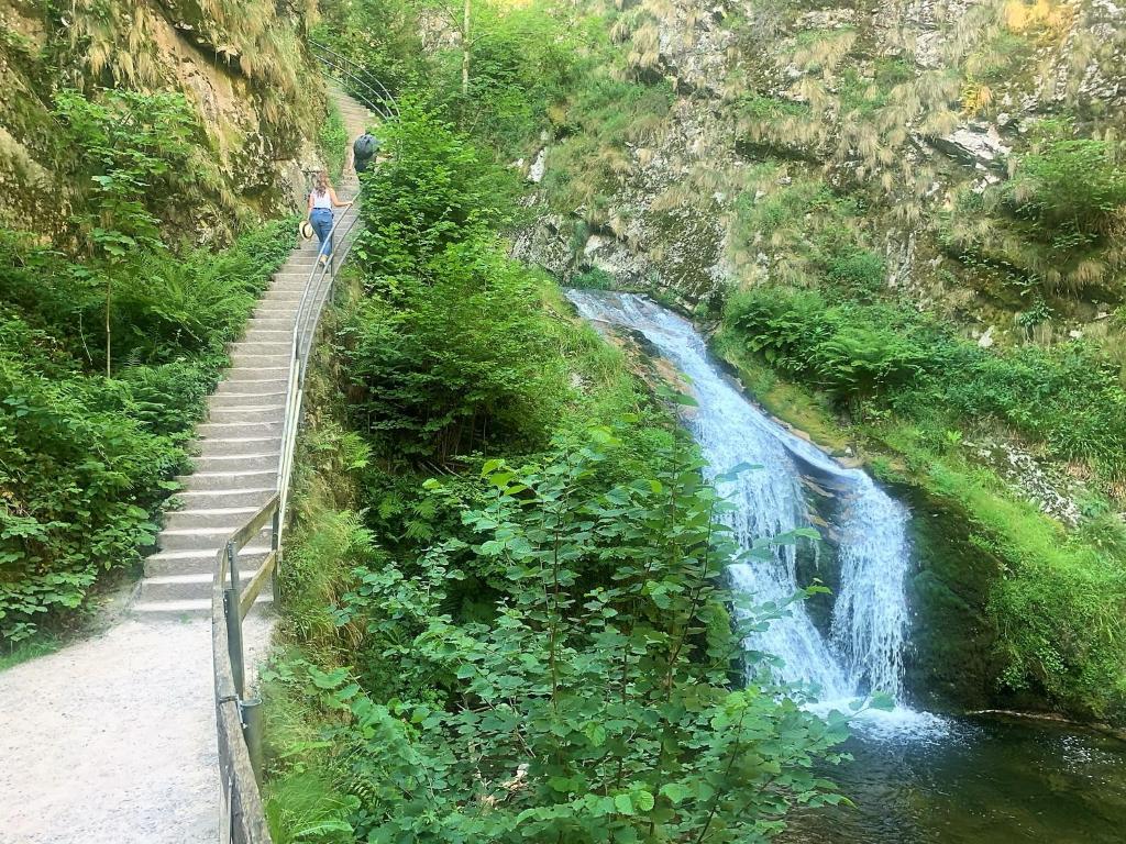 Příroda nedaleko apartmánu