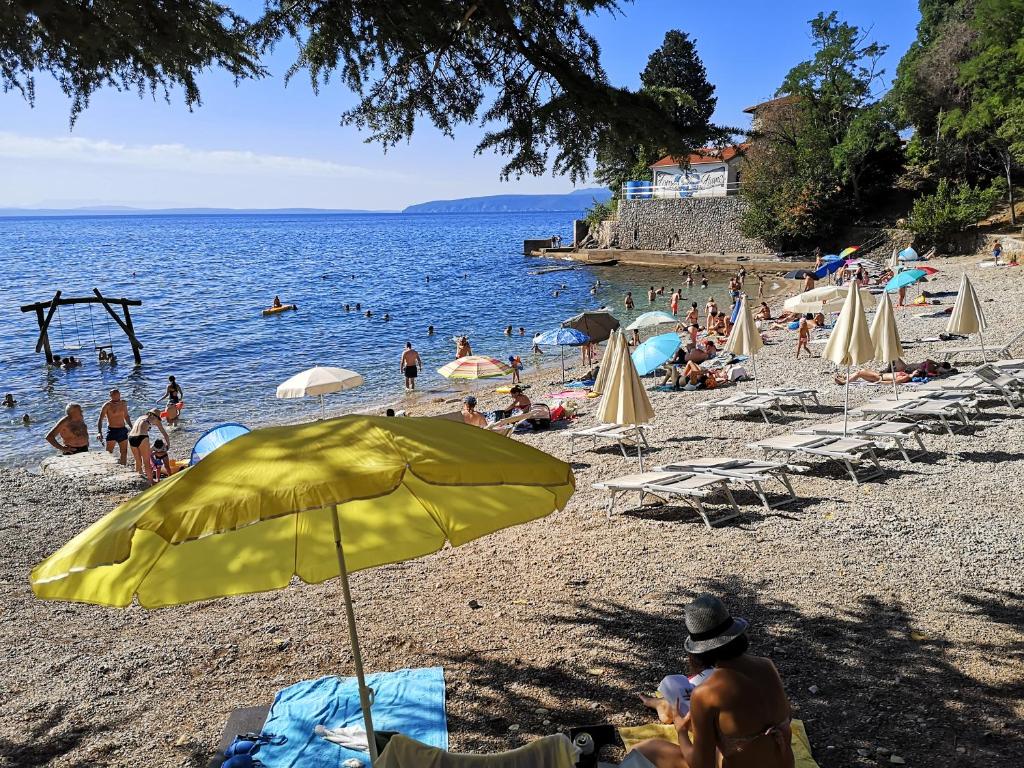 Przyroda w pobliżu tego apartamentu
