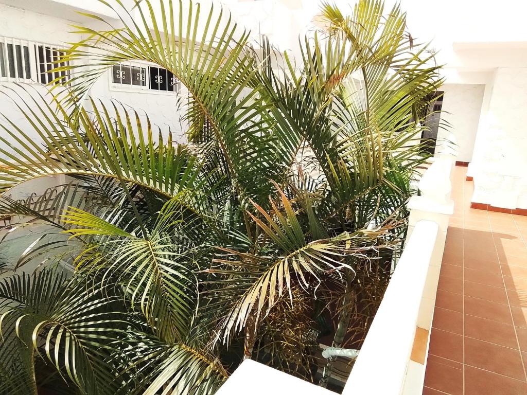 Oasis Marina Apartament, Costa Del Silencio – Bijgewerkte ...