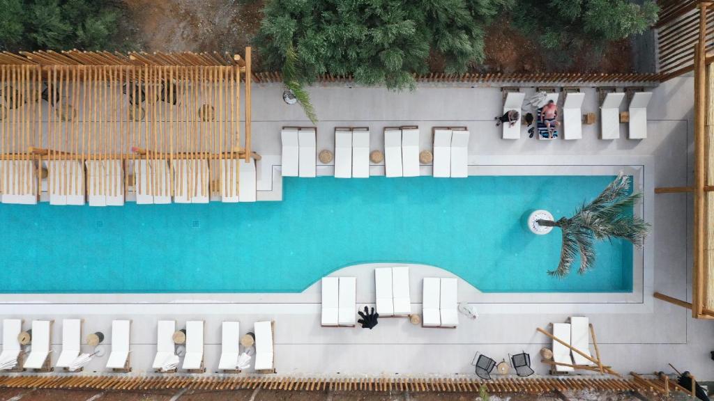 Indigo Inn Casa Adults Only - 11