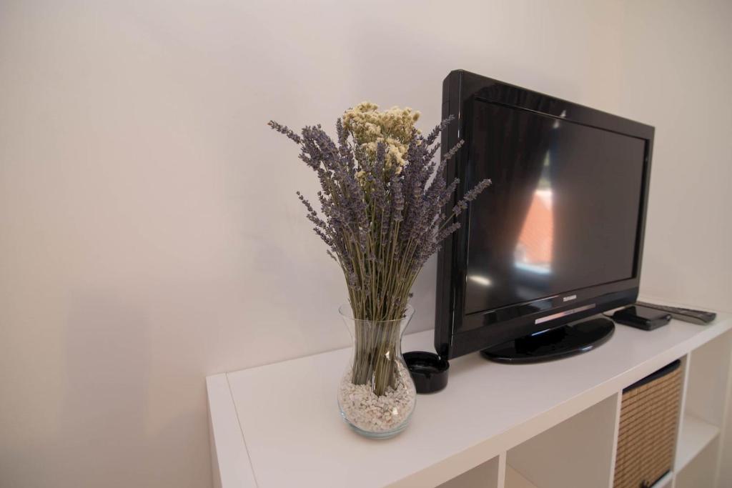 Televízia a/alebo spoločenská miestnosť v ubytovaní Pinea