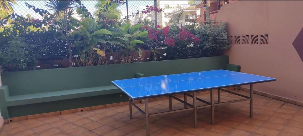 Stolný tenis v ubytovaní AVC Valle LUZ alebo v jeho okolí