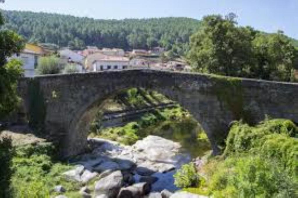 Fotografia z galérie ubytovania VILLA LAS PALMERAS v destinácii Arenas de San Pedro