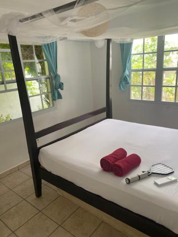 Katil atau katil-katil dalam bilik di Akunamatata Guest House Grand Case