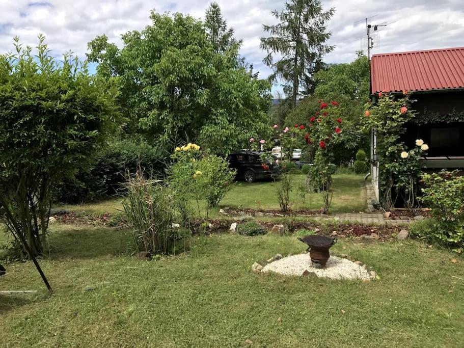 Zdjęcie z galerii obiektu Chata v Želinském meandru obklopená přírodou w mieście Rokle