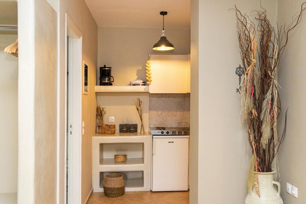 Kuchyň nebo kuchyňský kout v ubytování Couvaros Hotel