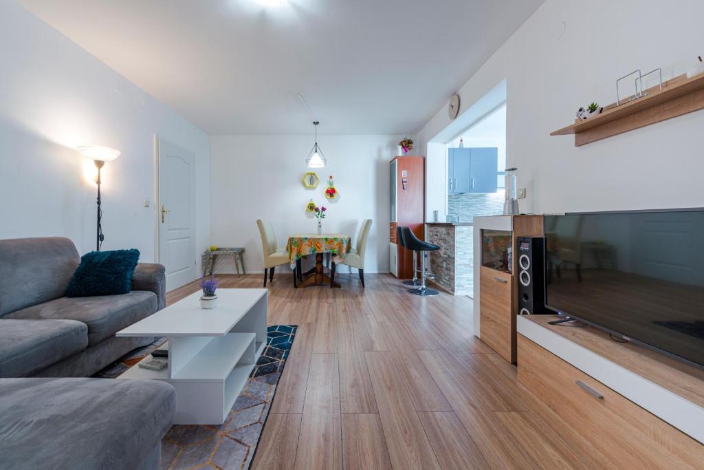 Televízia a/alebo spoločenská miestnosť v ubytovaní Apartment Nika Solitudo
