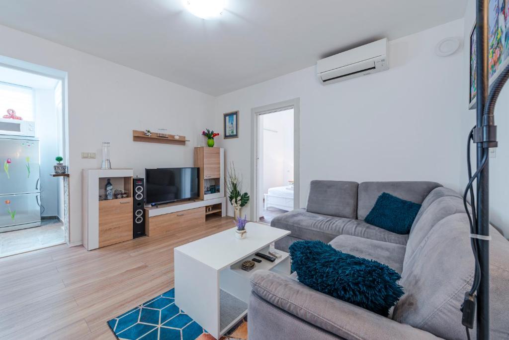 Televízia a/alebo spoločenská miestnosť v ubytovaní Apartment Nika Solitudo