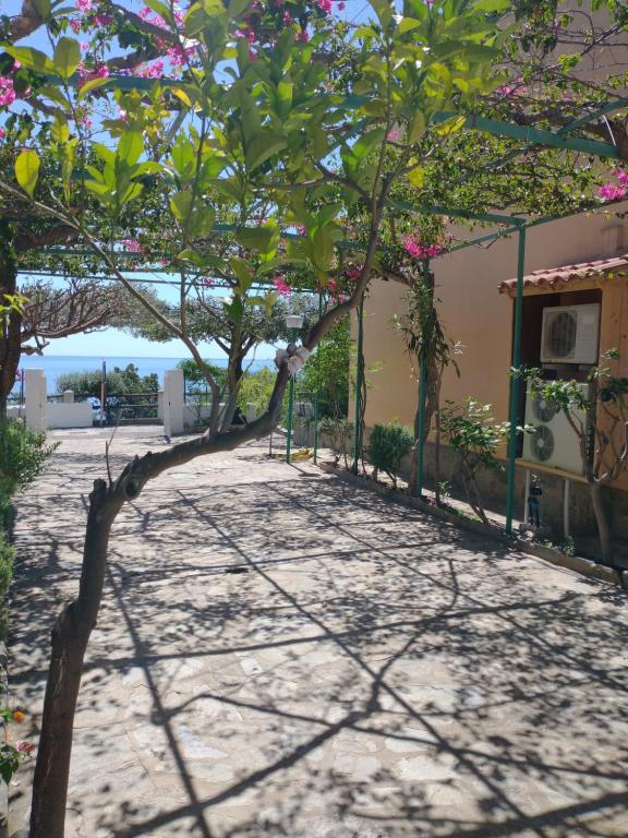 Ogród w obiekcie casa luisa3br