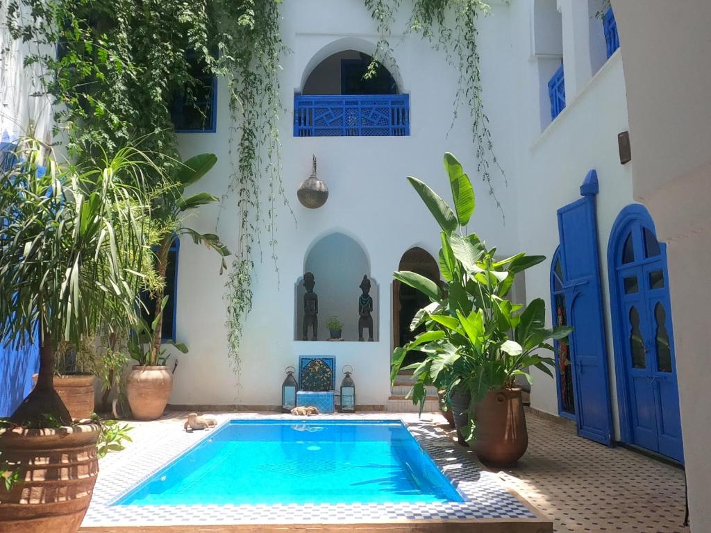 a swimming pool in the courtyard of a house with plants at Riad Chameleon in Marrakesh