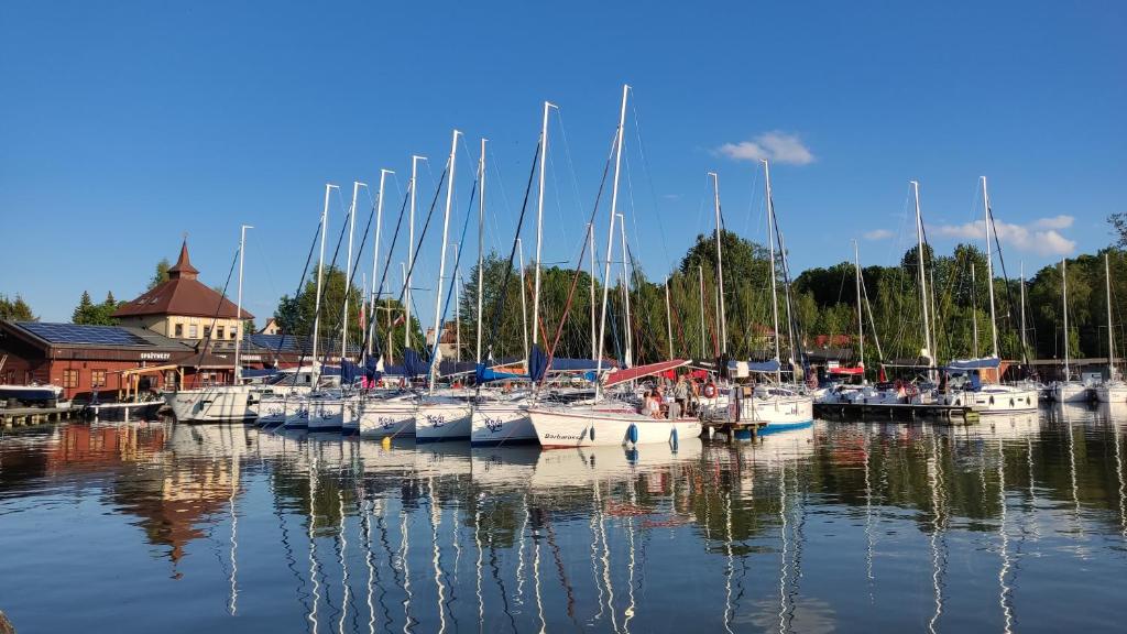 Príroda v okolí apartmánu