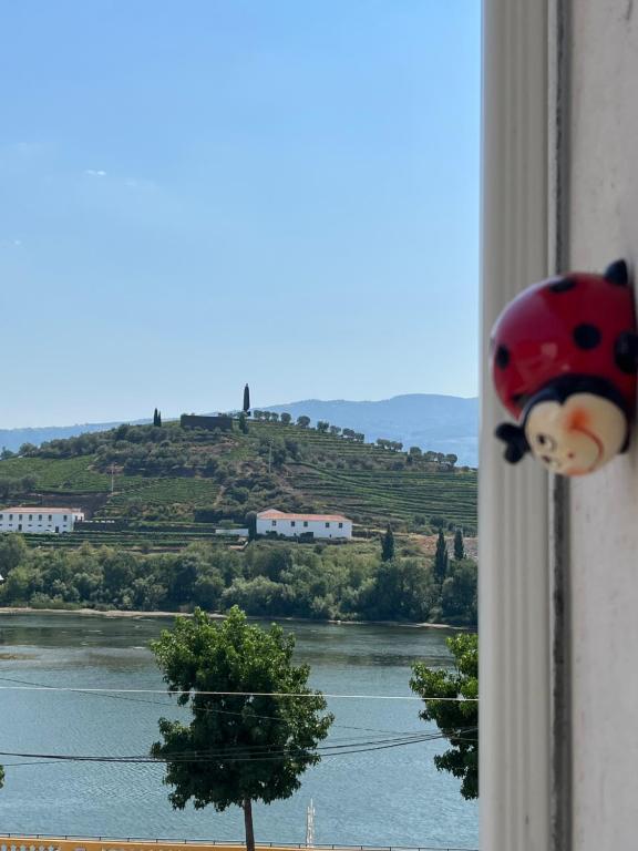 Un giocattolo da coccinella che guarda fuori da una finestra con un fiume di Alojamento Joaninha Douro 2 a Peso da Régua