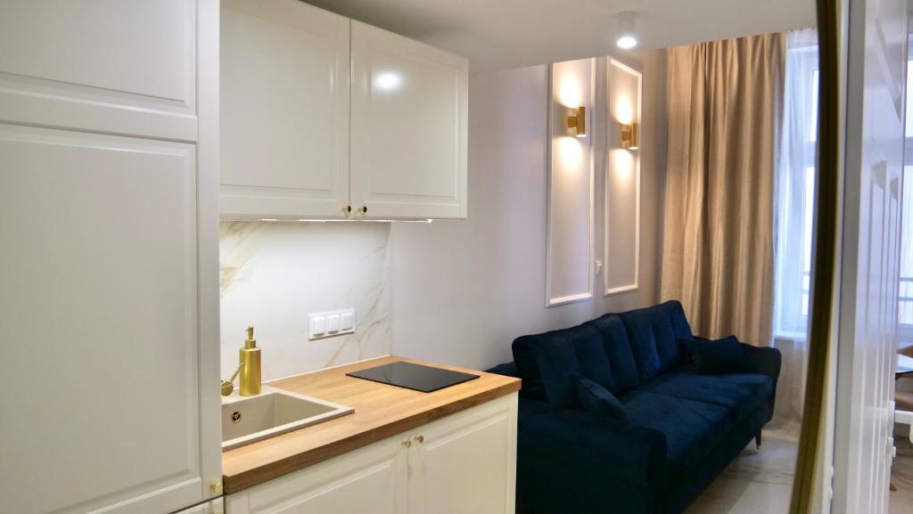 Kuchyňa alebo kuchynka v ubytovaní Art Apartments Warszawska 21 Katowice