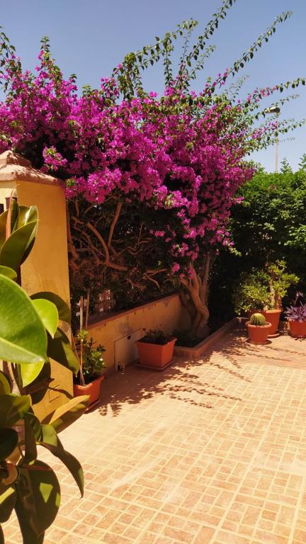 La Bouganville a Olmedo - Accogliente casa vacanze