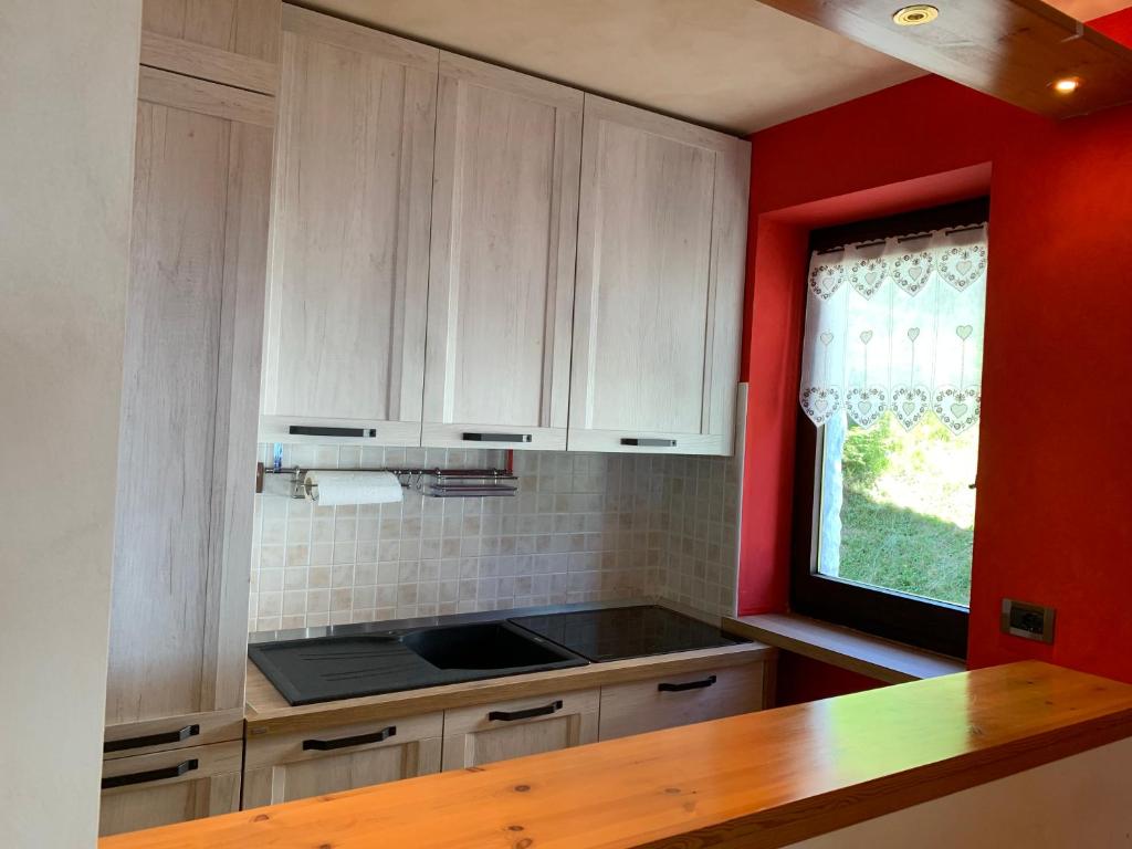 Kuchyň nebo kuchyňský kout v ubytování Bielmonte Appartamenti