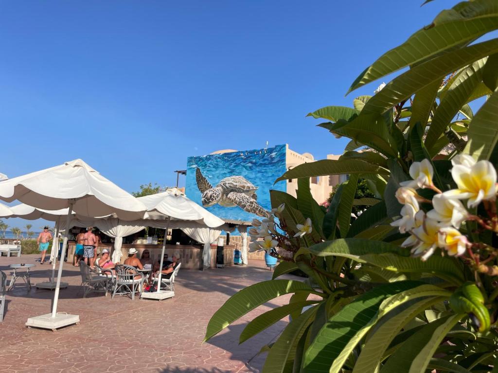Бассейн в Dream Lagoon Resort & Aqua Park или поблизости