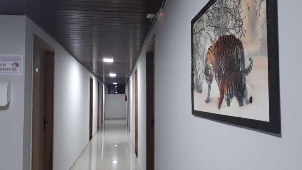 Fotografie z fotogalerie ubytování Hotel ROF v destinaci Telêmaco Borba