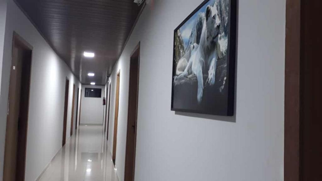 Fotografie z fotogalerie ubytování Hotel ROF v destinaci Telêmaco Borba