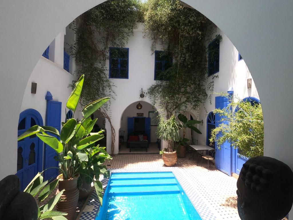 The pool in Riad Chameleon