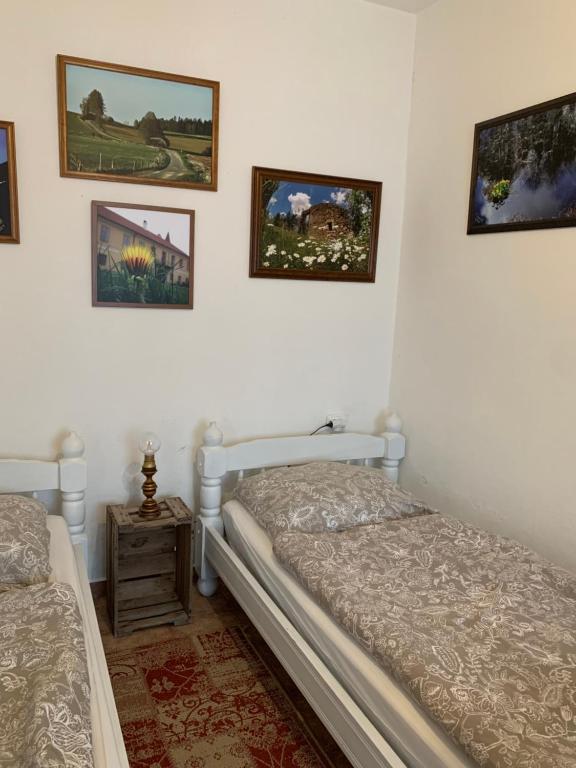 Zámek Jindřichovice - 12