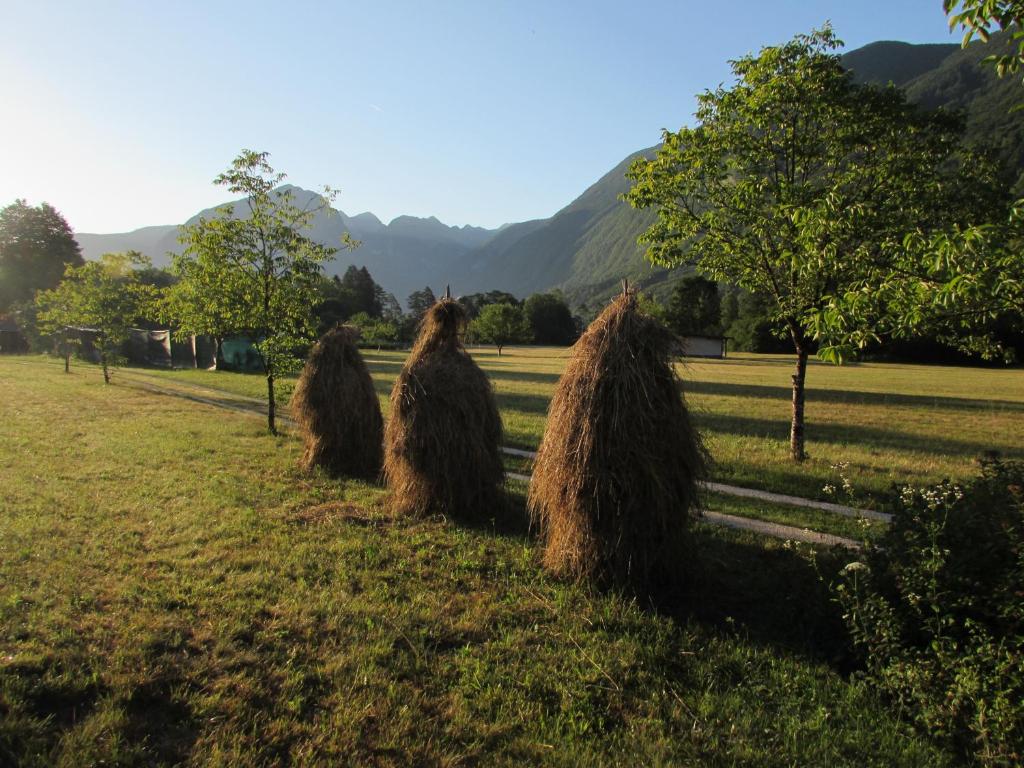 Paesaggio naturale nelle vicinanze dell'appartamento
