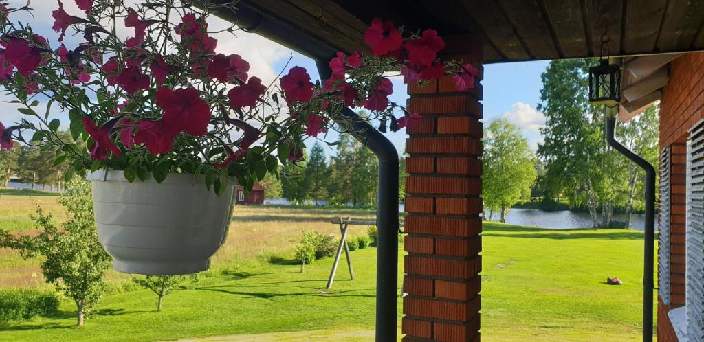 Zahrada ubytování Rum på Näset 42 i Äppelbo Vansbro