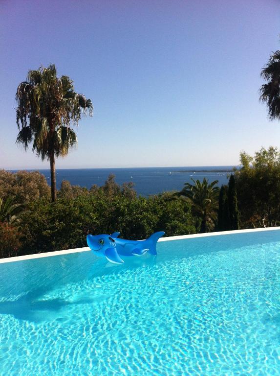 two dolphins in a swimming pool with the ocean in the background at Cannes Eden résidence de luxe piscine tennis in Vallauris