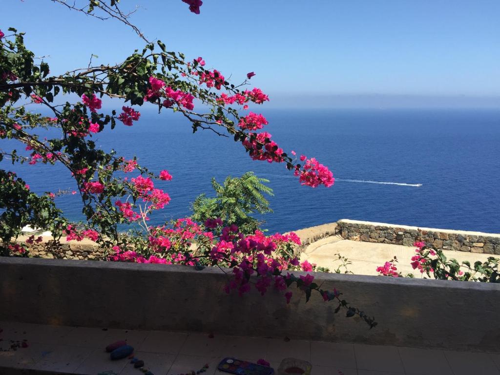 a view of the ocean with pink flowers at Dammuso Karace in Tracino