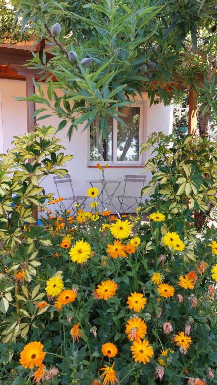 un jardín de flores amarillas y naranjas frente a una casa en Casita El Parral II, en Puntagorda