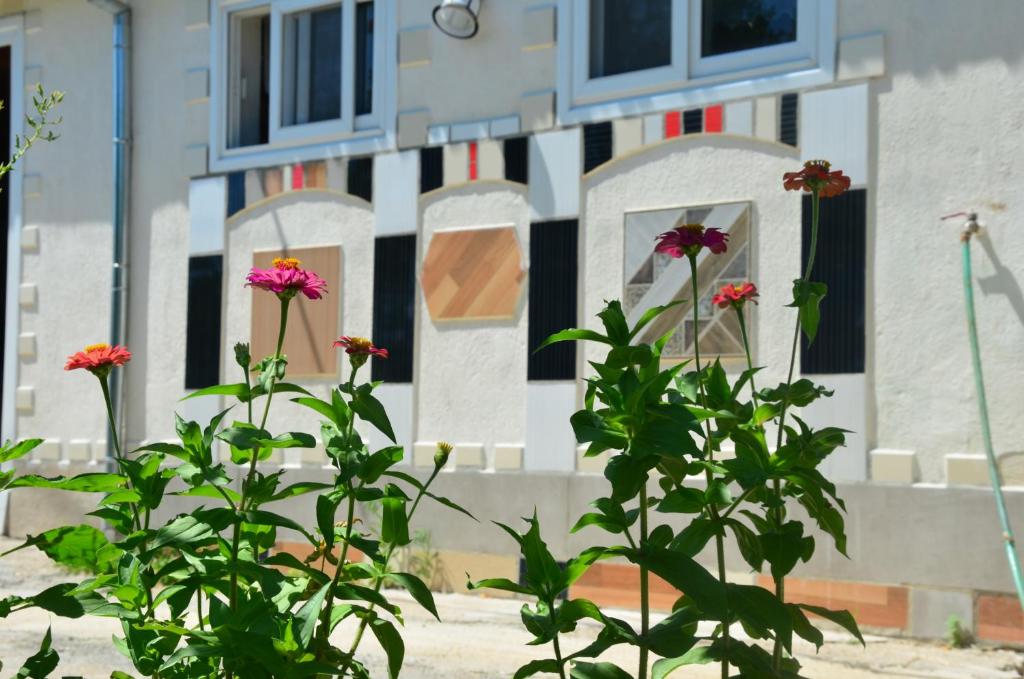 a building with some flowers in front of it at Villa Zeko in Gjirokastër