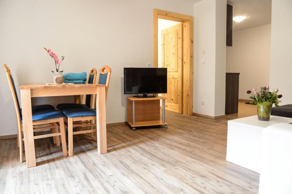 TV a/nebo společenská místnost v ubytování Steinergut Apartments