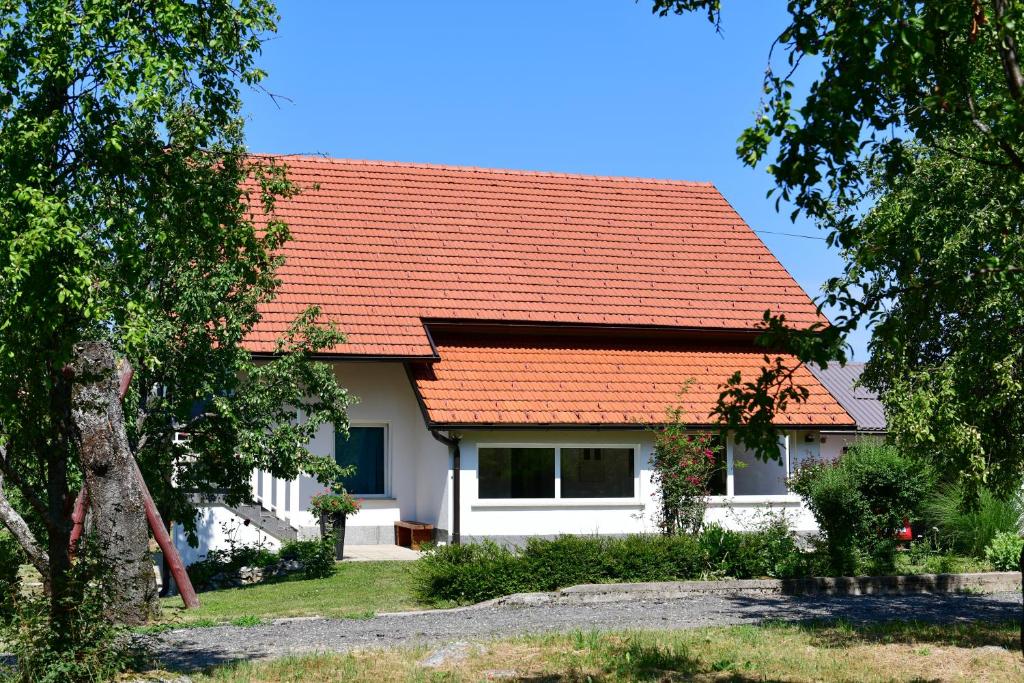 una casa blanca con techo naranja en Apartment Anna Maria, en Rakovica