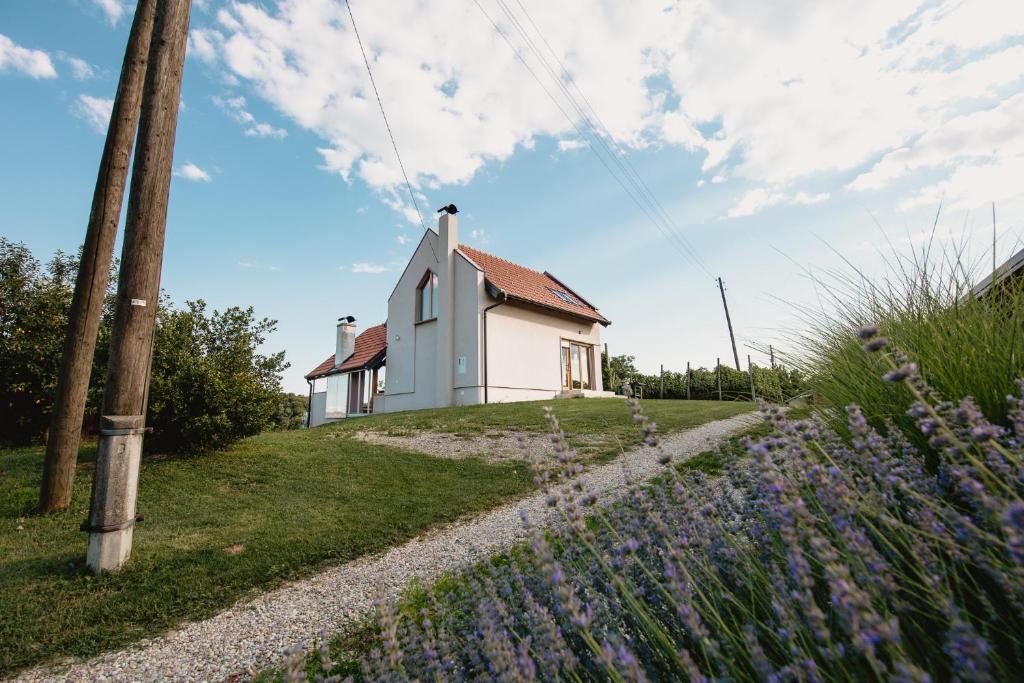 Grabrovnik的住宿－Kuća za odmor Vlahek，一座小白色房子,位于一座小山上,种着紫色的鲜花