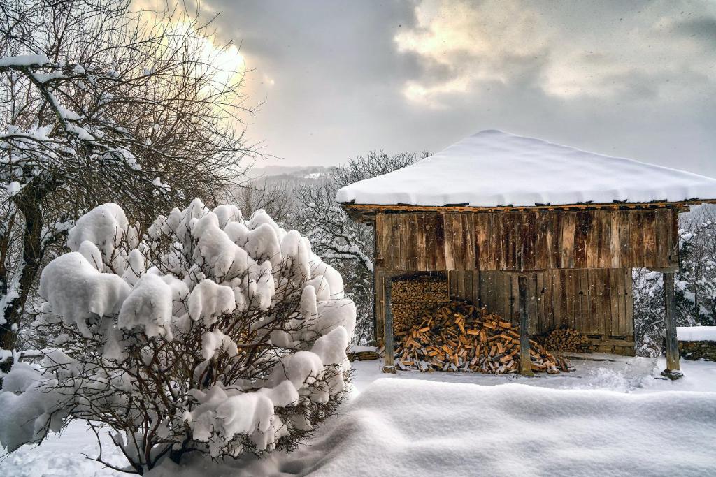 a snow covered bush next to a wooden building at Karashka house in Apriltsi
