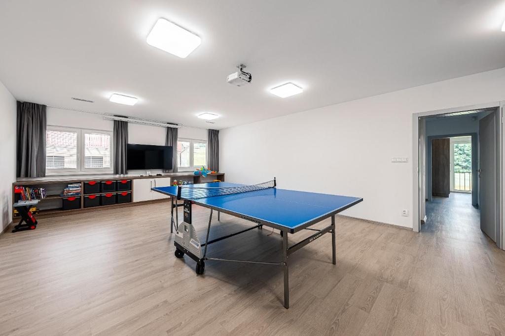Stolní tenis v ubytování Apartmány ZaBukem nebo okolí