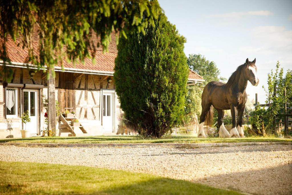 un caballo parado frente a una casa en La ferme de la chassagne en Devrouze