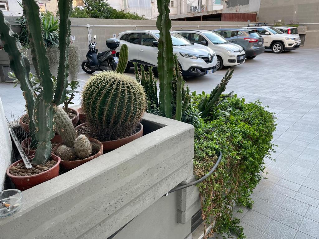 Central Modern Apartment Bari - 6