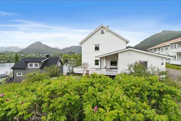 a white house with mountains in the background at Lovely 1 bedroom downstairs condo with free parking place in Svolvær